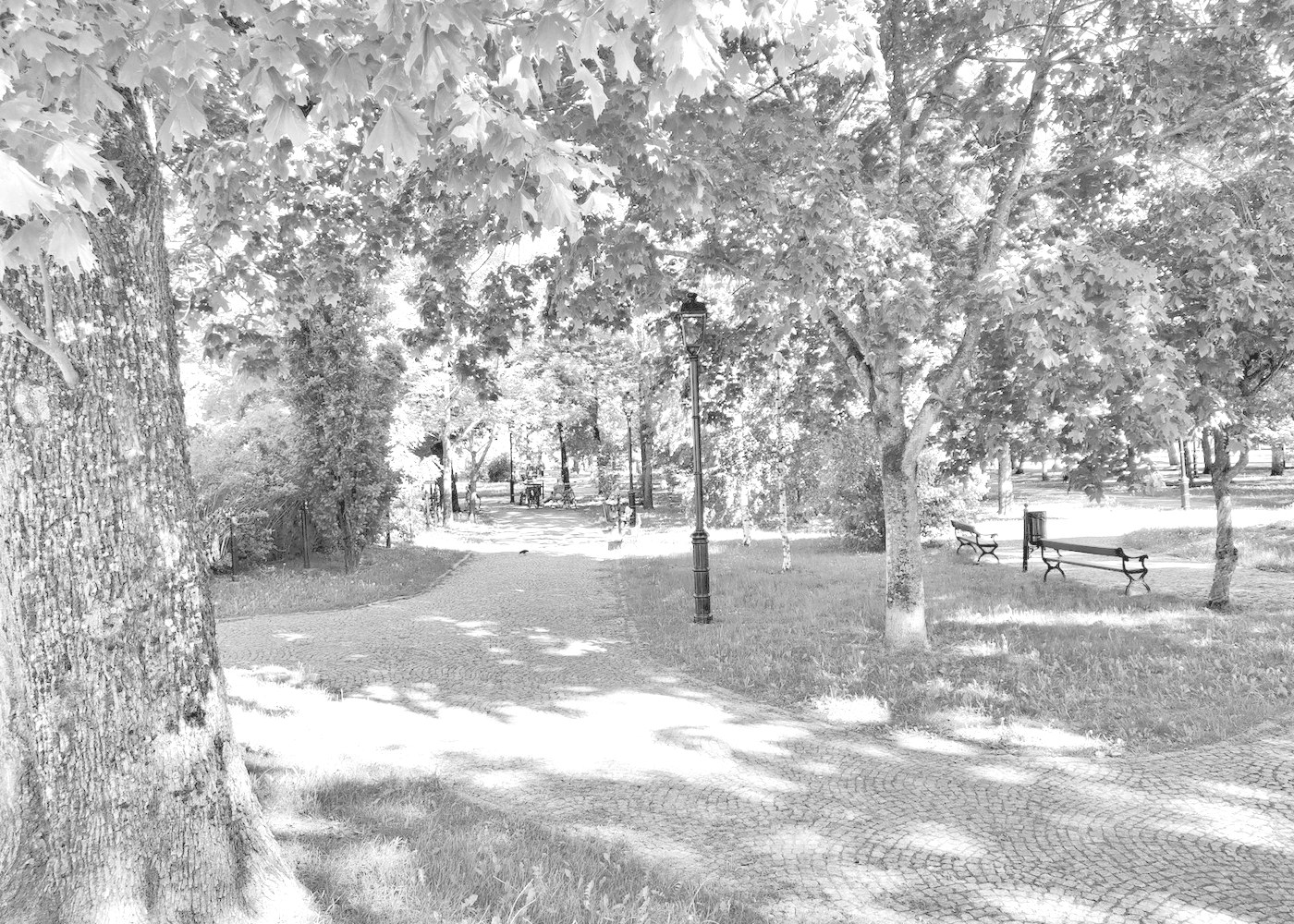 A public park on a summer afternoon